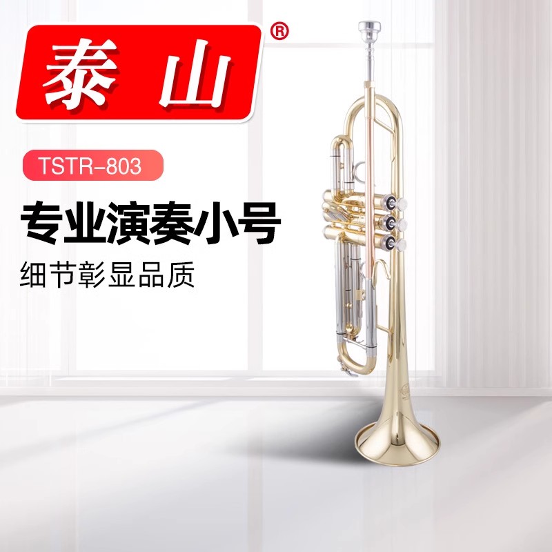 泰山TSTR-803小号