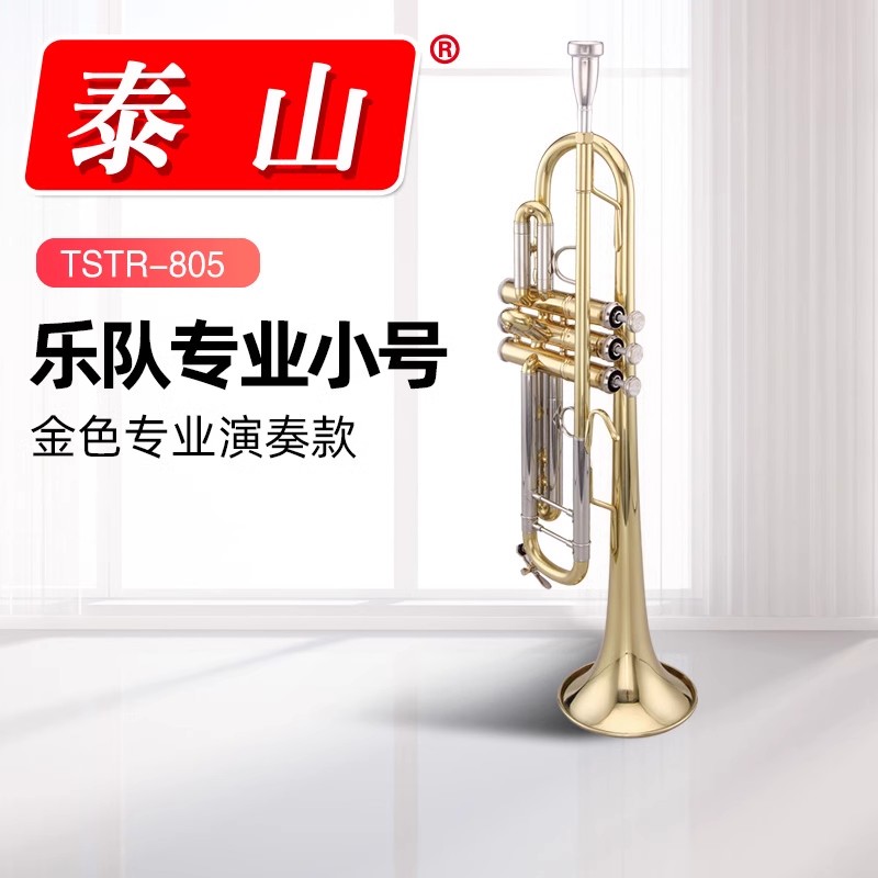 泰山TSTR-805小号